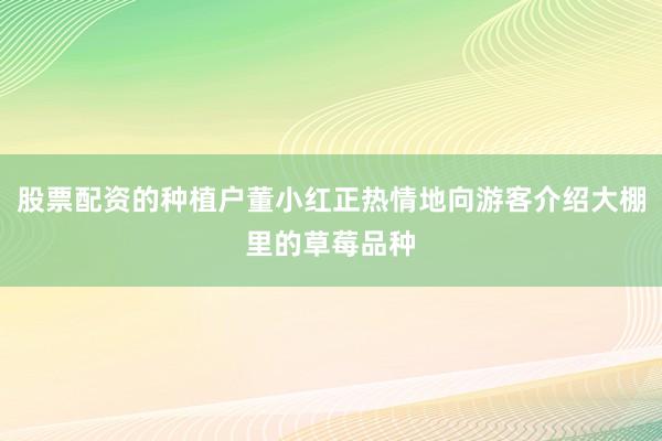 股票配资的种植户董小红正热情地向游客介绍大棚里的草莓品种