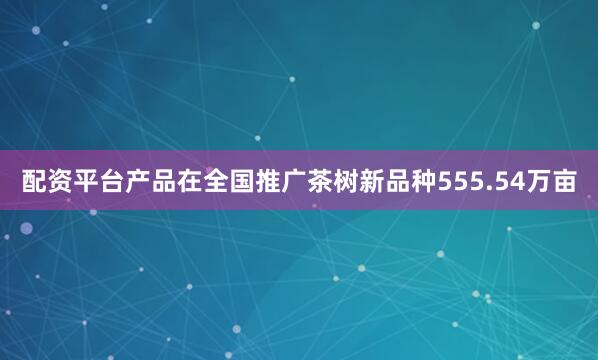 配资平台产品在全国推广茶树新品种555.54万亩