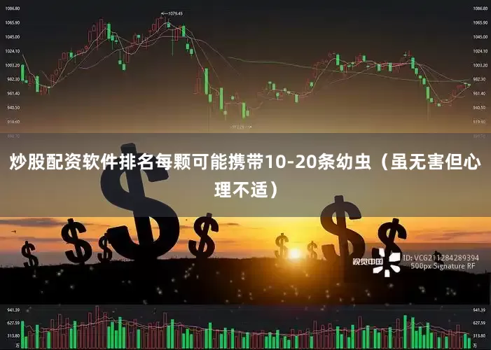 炒股配资软件排名每颗可能携带10-20条幼虫（虽无害但心理不适）