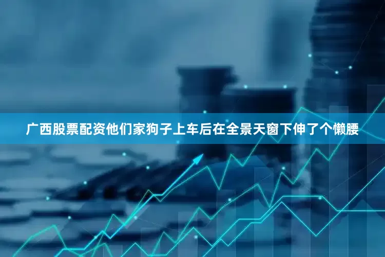 广西股票配资他们家狗子上车后在全景天窗下伸了个懒腰