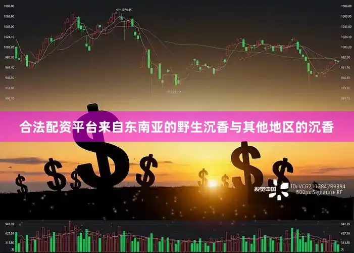 合法配资平台来自东南亚的野生沉香与其他地区的沉香