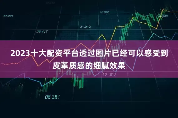 2023十大配资平台透过图片已经可以感受到皮革质感的细腻效果