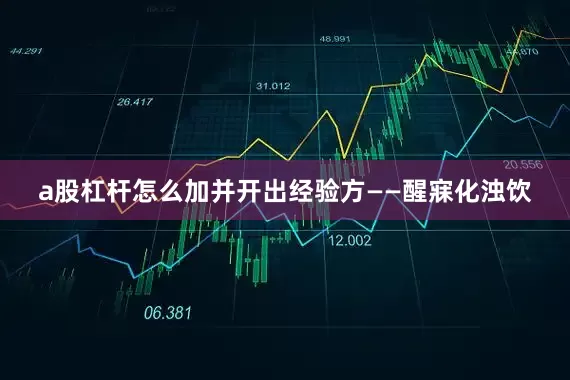 a股杠杆怎么加并开出经验方——醒寐化浊饮